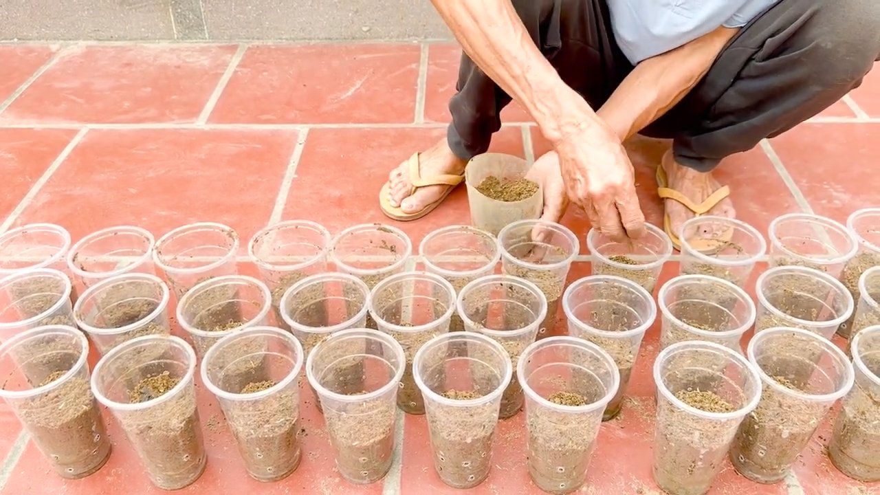 Indoor Veggie Growing System