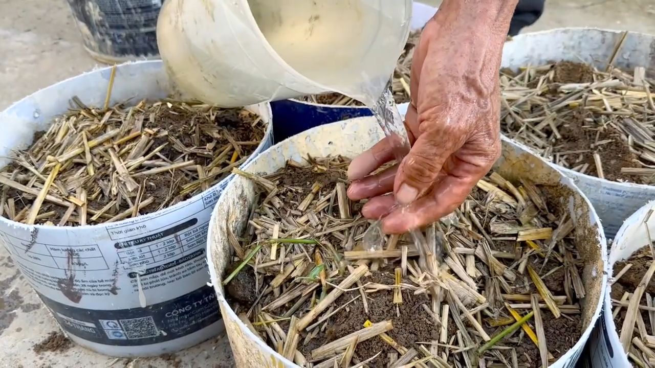 Grow potatoes easily